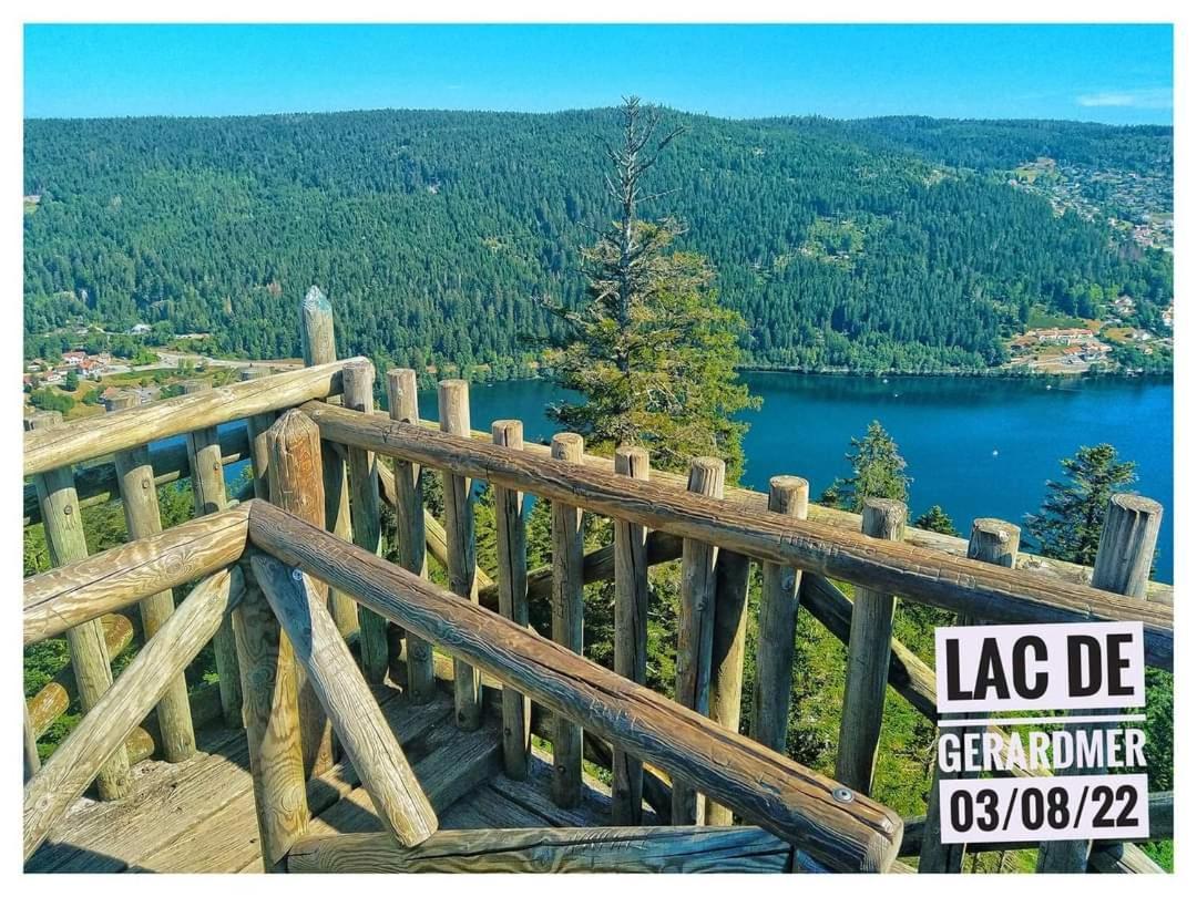 Chalet Nouveau M.meta 12 Pers Sauna,jacuzzi,billard Xonrupt-Longemer